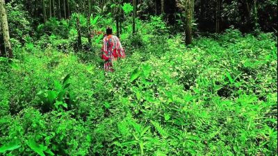 Neighbor Big Sister Jungle Fucked