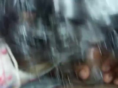 Chubby Desi Hot Bhabhi Sucking Partners Cock Before Sex