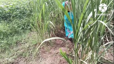 Marathi wife fast time outdoors fucking