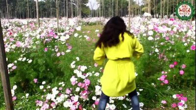 VID-20181228-WA004176