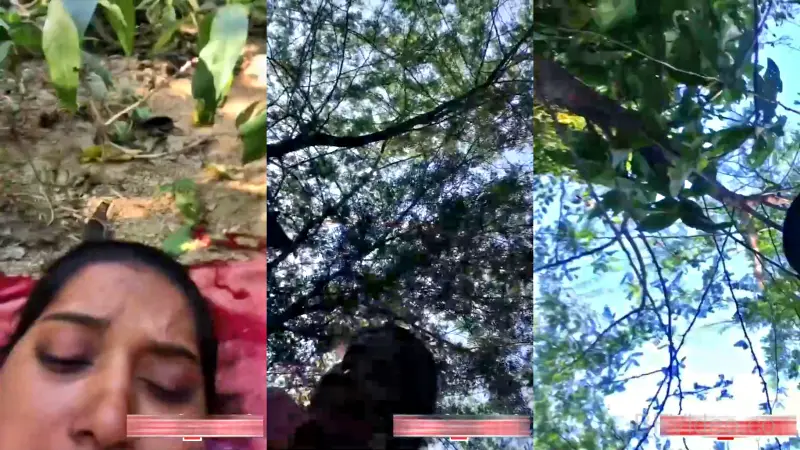 Desi Lovers Outdoor Sex Captured On Cam - Mydesi