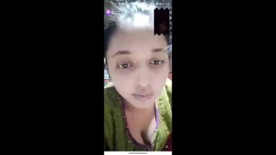 Myd chamet mb collection 1812025 -24