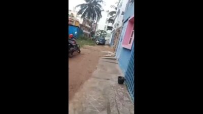 Sought local randi