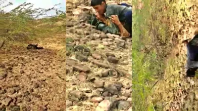 Village Girl Fucked In Open By Local Guys