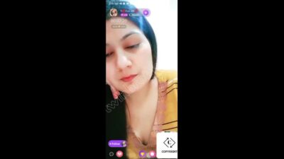 Myd chamet mb collection 1812025 -443