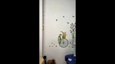 video_22906-12-2022_07-25-44