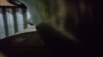 yours bhabhi I went to the kitchen and fucked