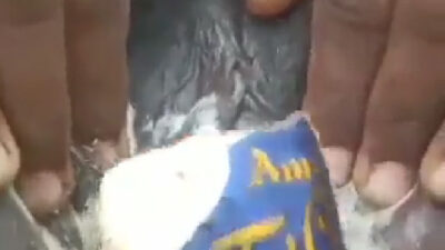 Amul icecream laga kar chut chatne ki video