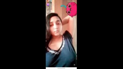 Myd chamet collection 84202515