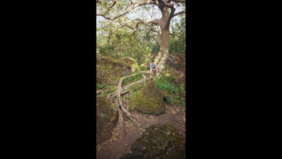 Dear Utol EP Erotic series p with eng subtitles