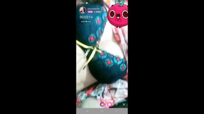 Myd-max-Chamet-Premium-Collection–12262024-323