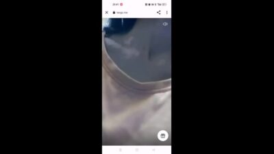 Myd chamet mb collection 1812025 -453