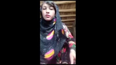 Myd pk video collection 152025163