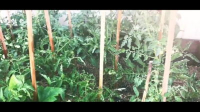Beautiful girl flashes her buttcrack in the garden
