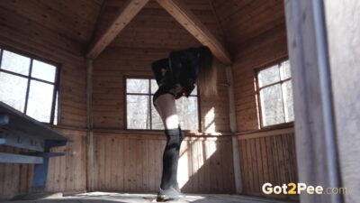 28Wooden Hut