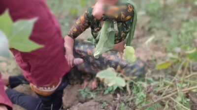 Desi Indian Village Maid Fucked by Malik