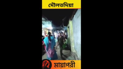 দৌলতদিয়া পাড়ার নতুন ভিডিও Daulatdia Polli new video 2025