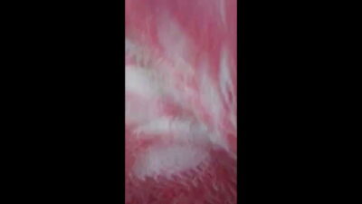 Cute Punjabi Girl Enjoying