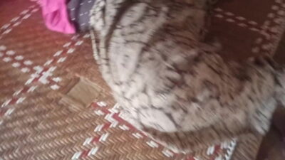 Assam, wife sex aur husband vedio