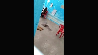 Desi govt teachers having sex in classroom