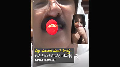 South Indian Officer Illegal Affair