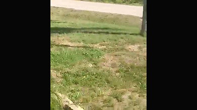 Cum on Hot Blonde After Outdoor Public Sex_adc4dd51
